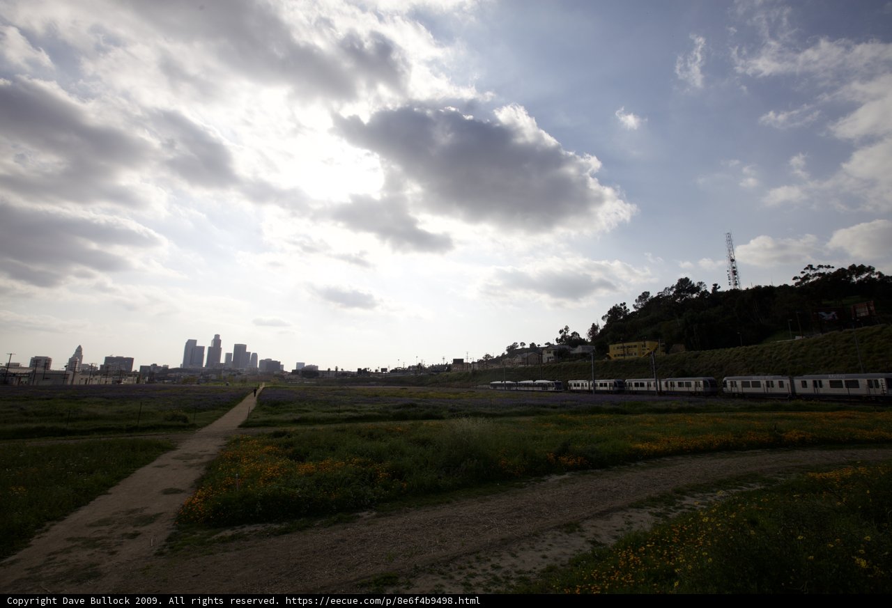 Train in the Field