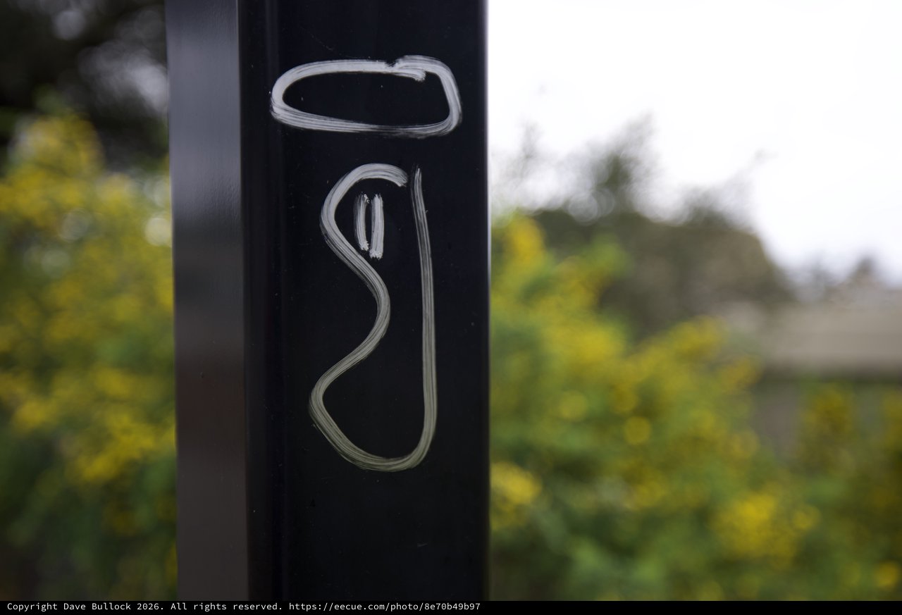 Engraved Metallic Post Against Blurred Natural Background