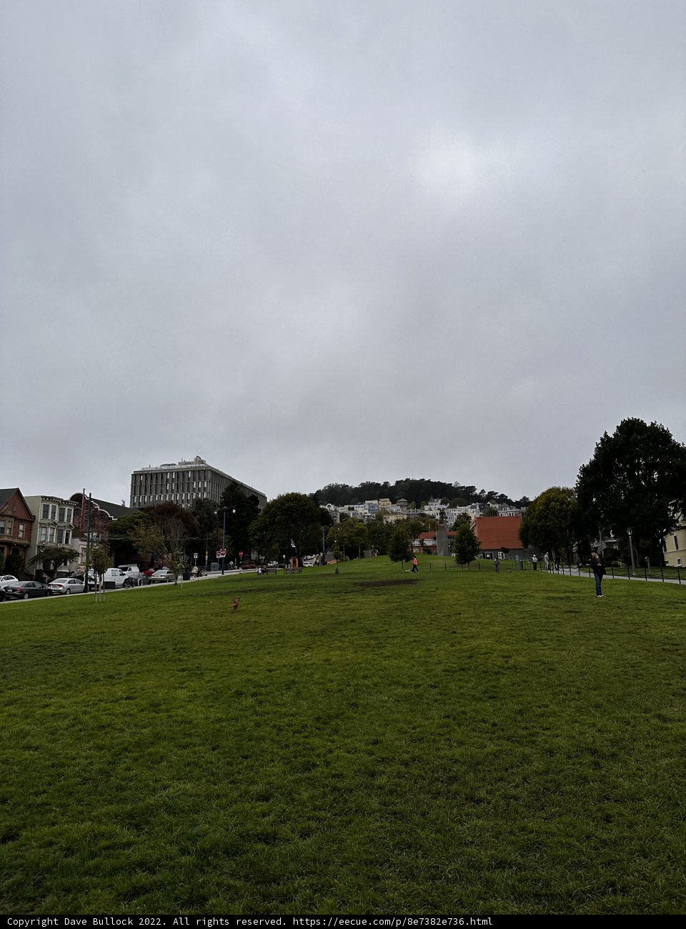 A Serene Day at Duboce Park