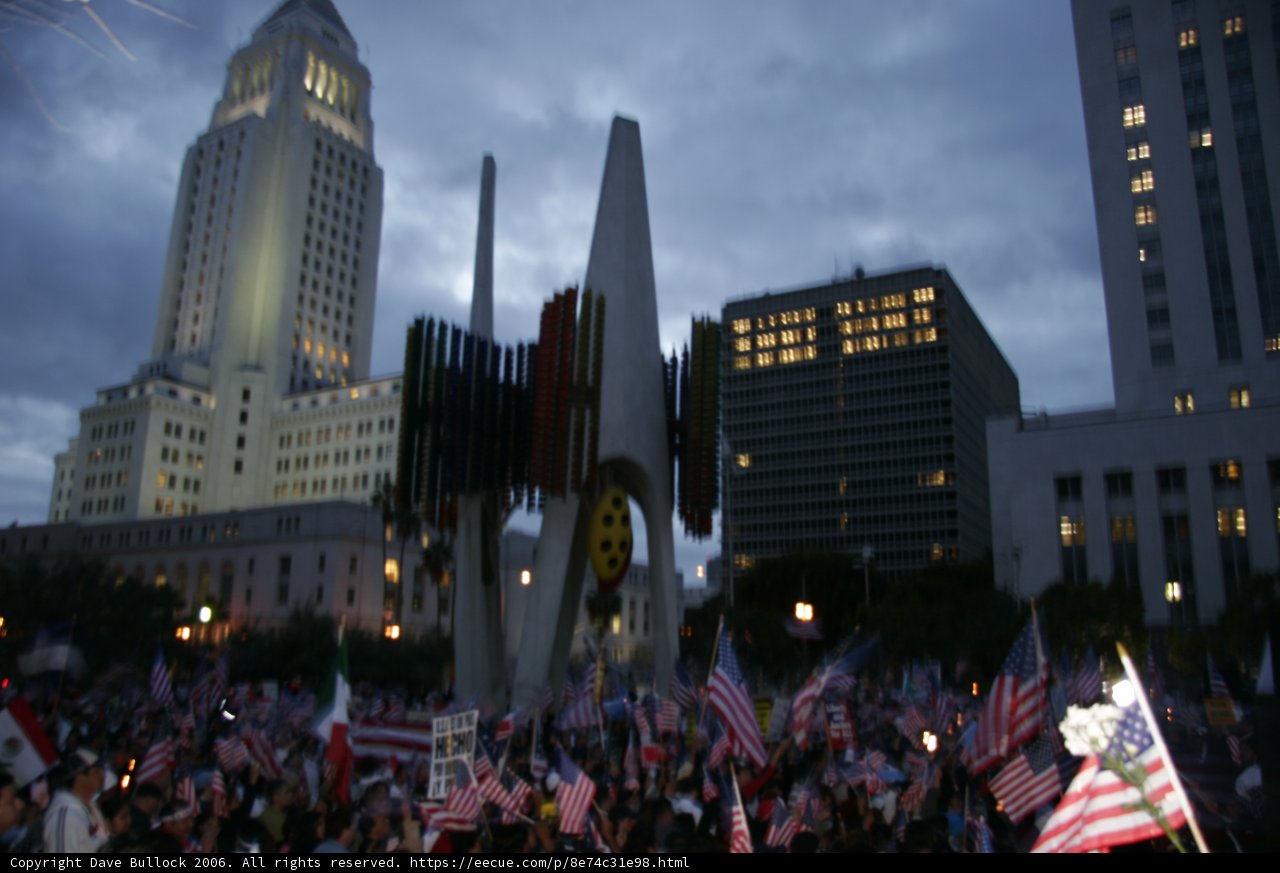 Patriotic Crowd in the Heart of Metropolis