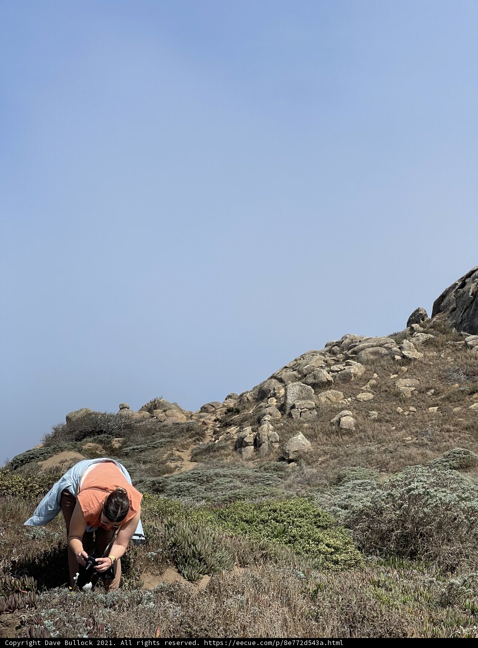 Capturing the Beauty of Jenner
