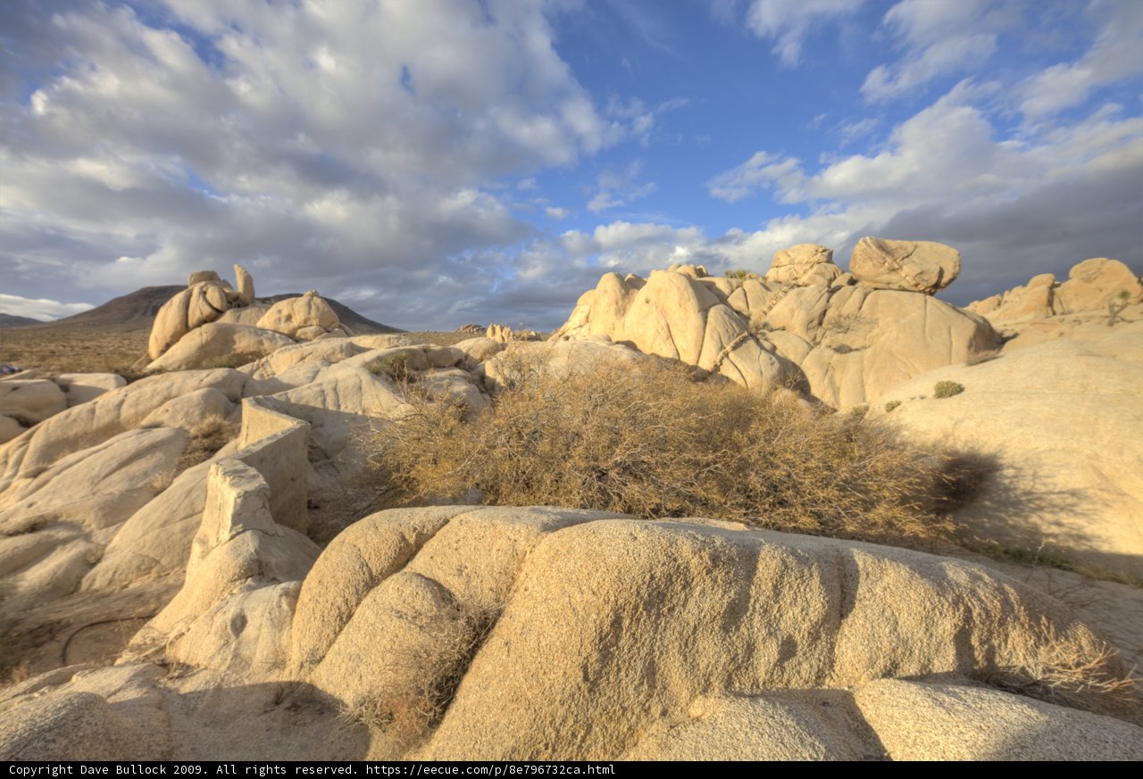 Majestic Rock Formations at Joshua Tree National Park