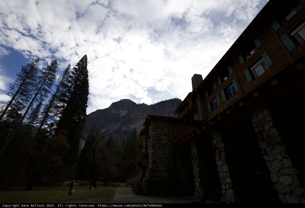 Unveiling Yosemite's Splendor: Lodge amidst Verdant Wilderness
