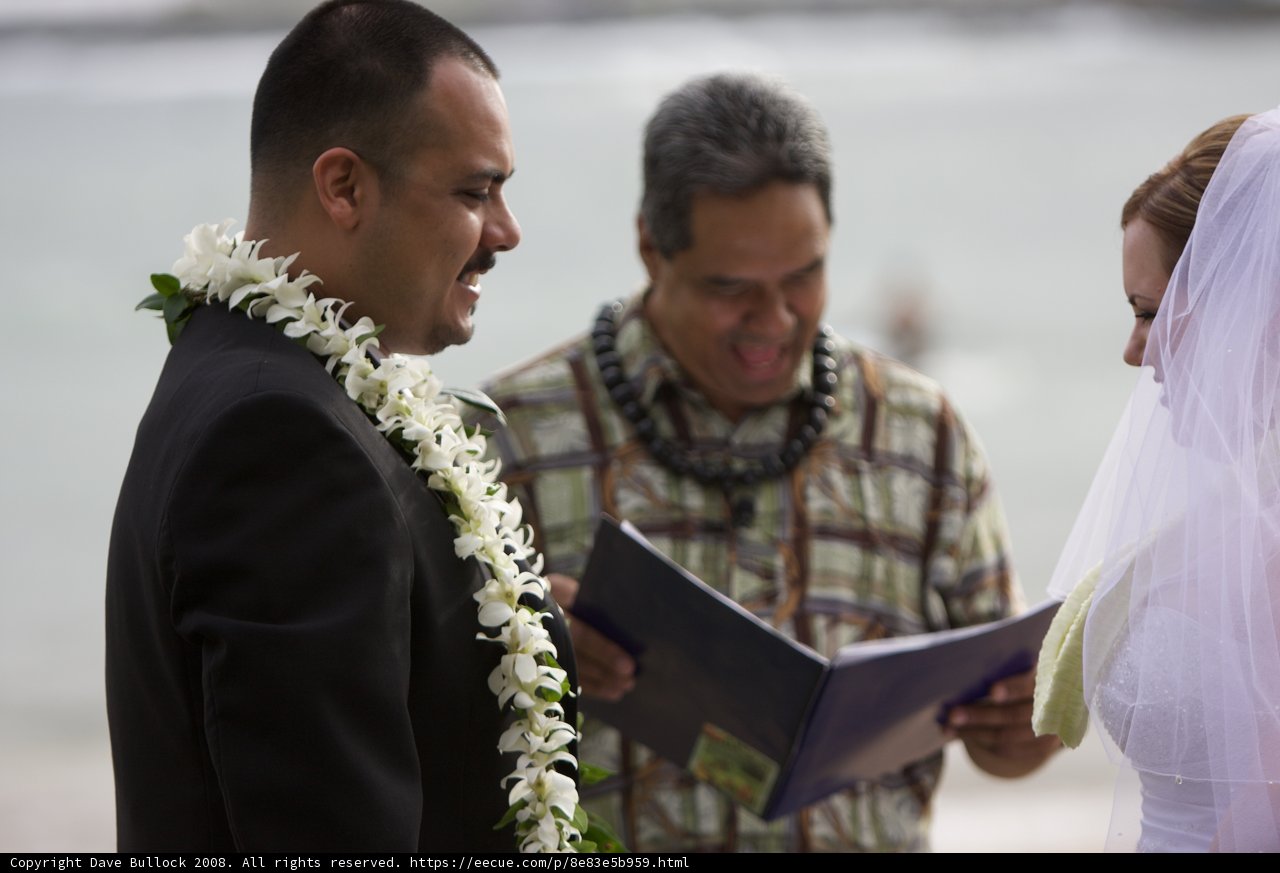 A Hawaiian Beach Wedding