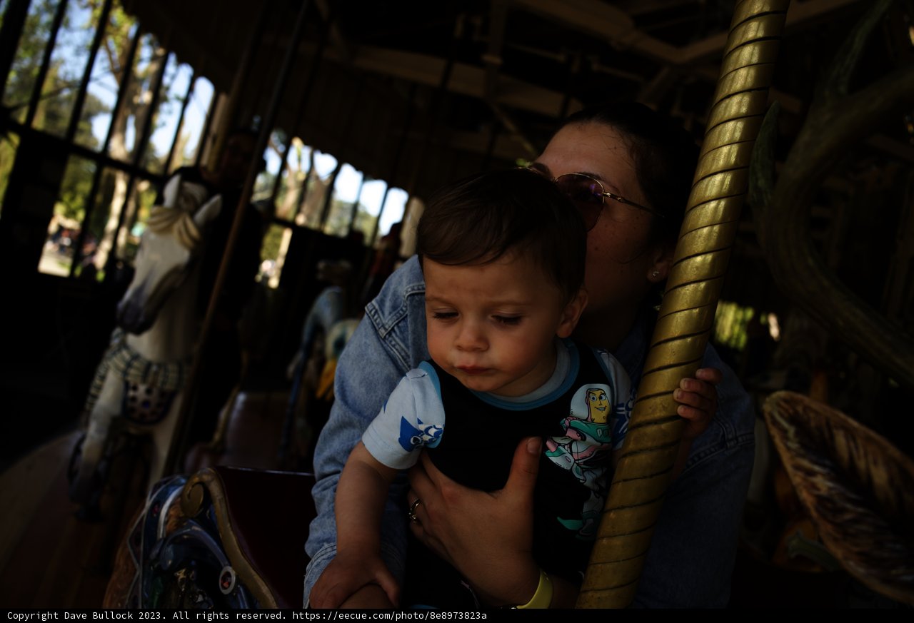 Whirl of Joy at Golden Gate Park Carousel
