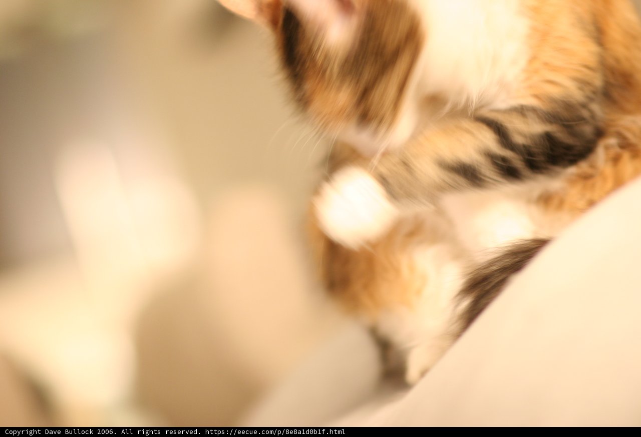Couch Companion