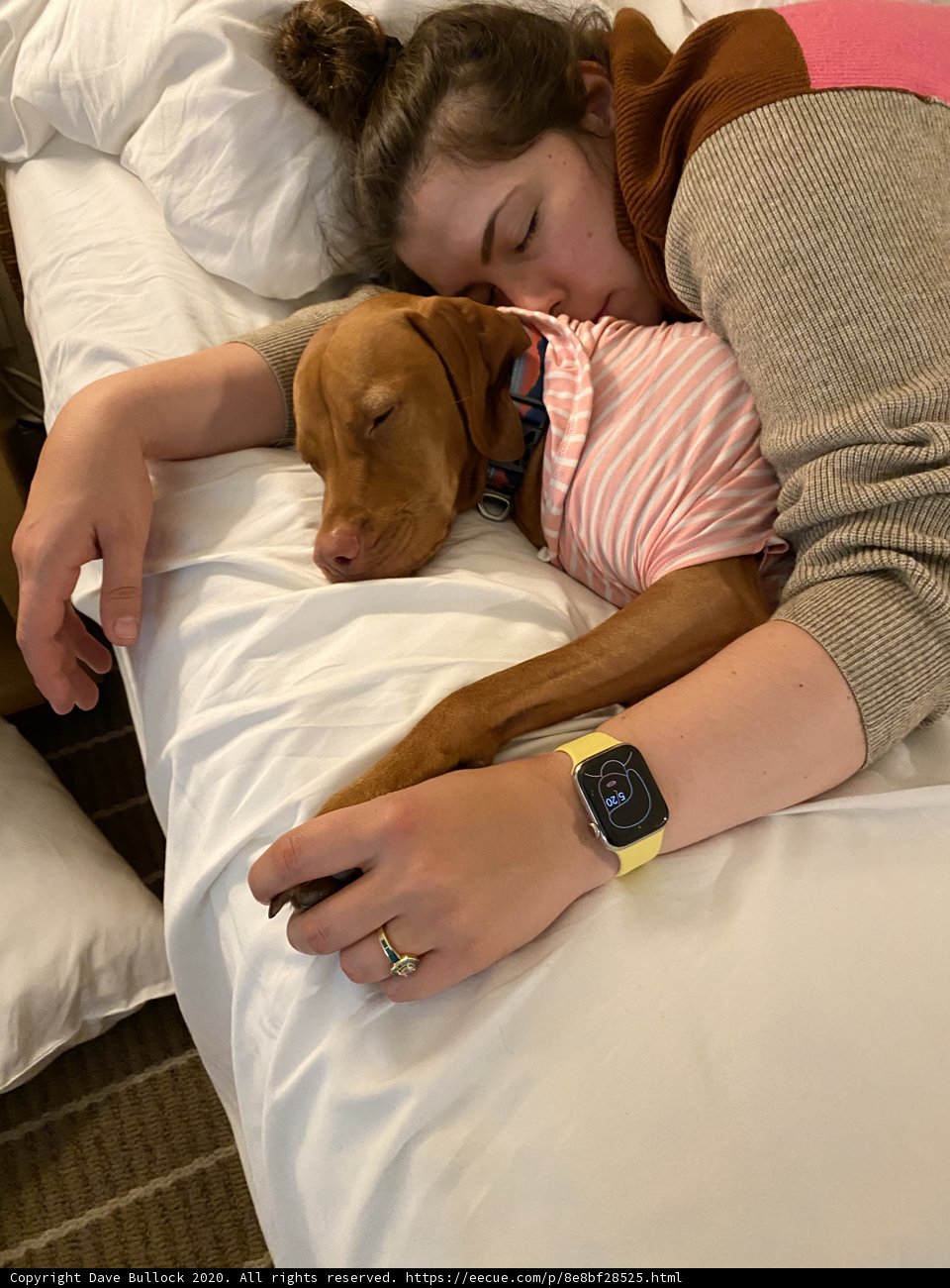 Cozy Nap with Furry Companion