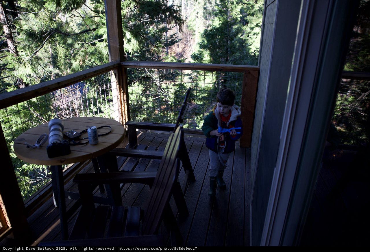 Young Photographer Exploring Mountain Forest Deck