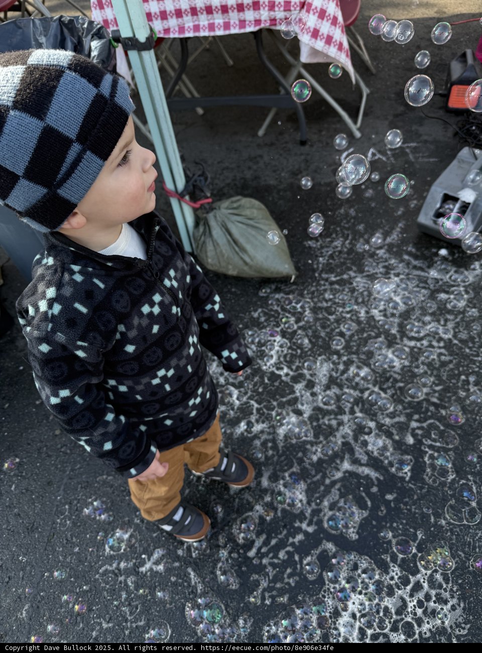 Urban Bubbles