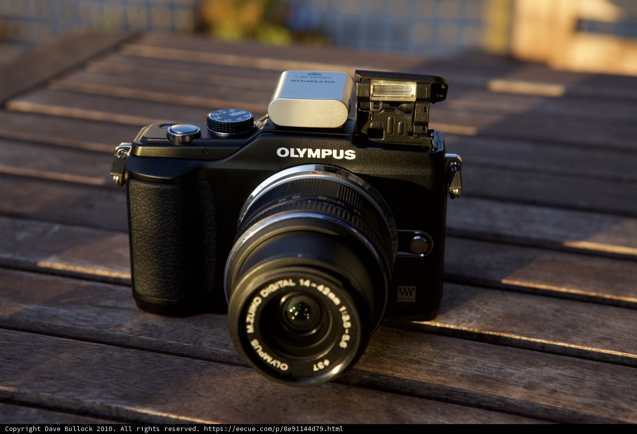 Olympus PEN2 Camera with Hardwood Strap