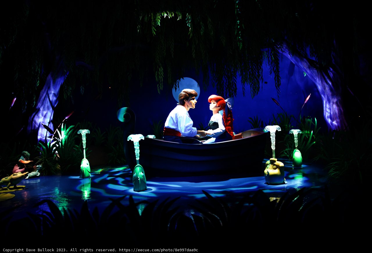 A Magical Night at Disneyland