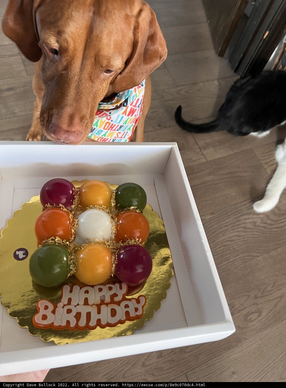 Puppy Eyes for Cake