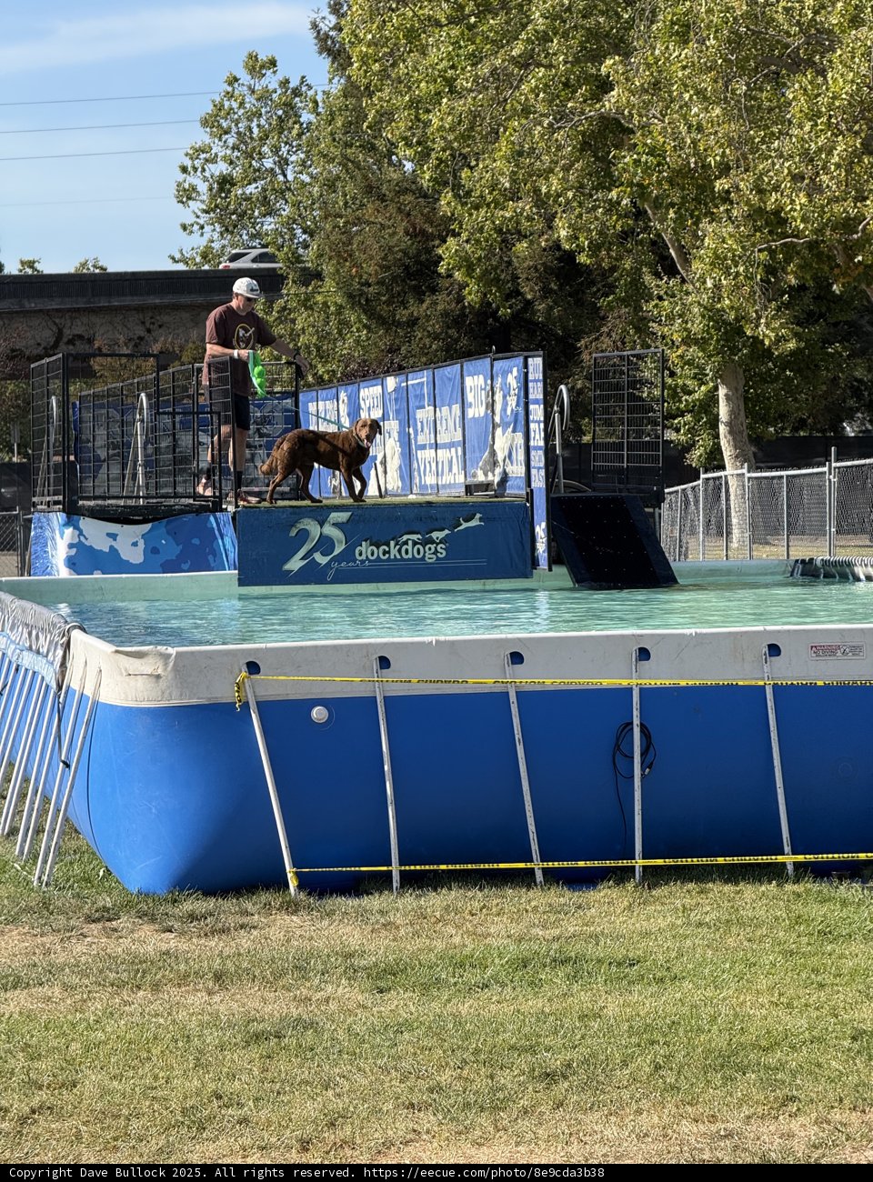 Splashing Into Action