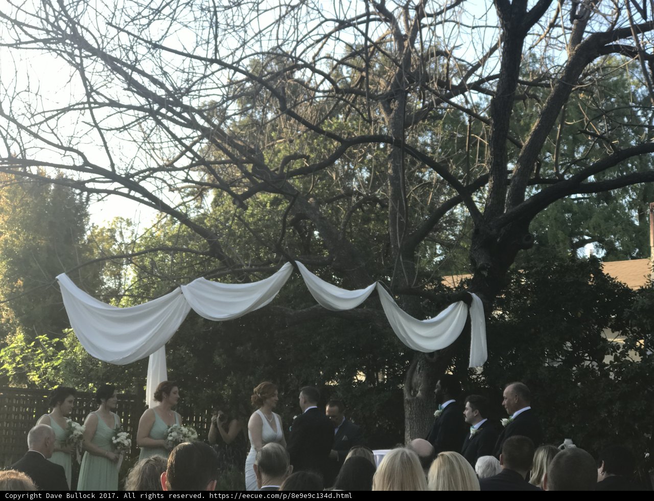 A Beautiful Backyard Wedding Ceremony