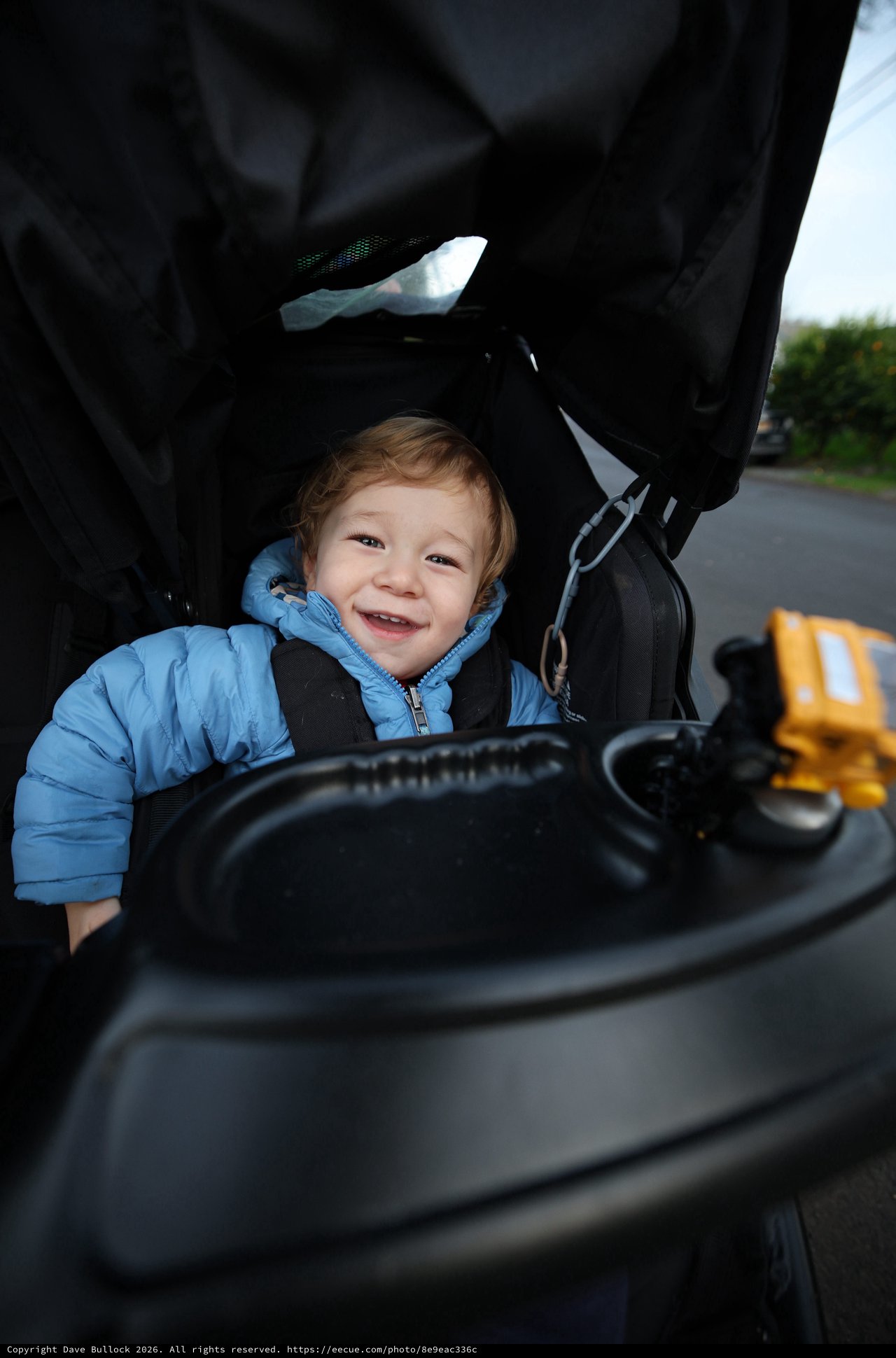 Joyful Toddler in Blue Jacket Sitting in Stroller