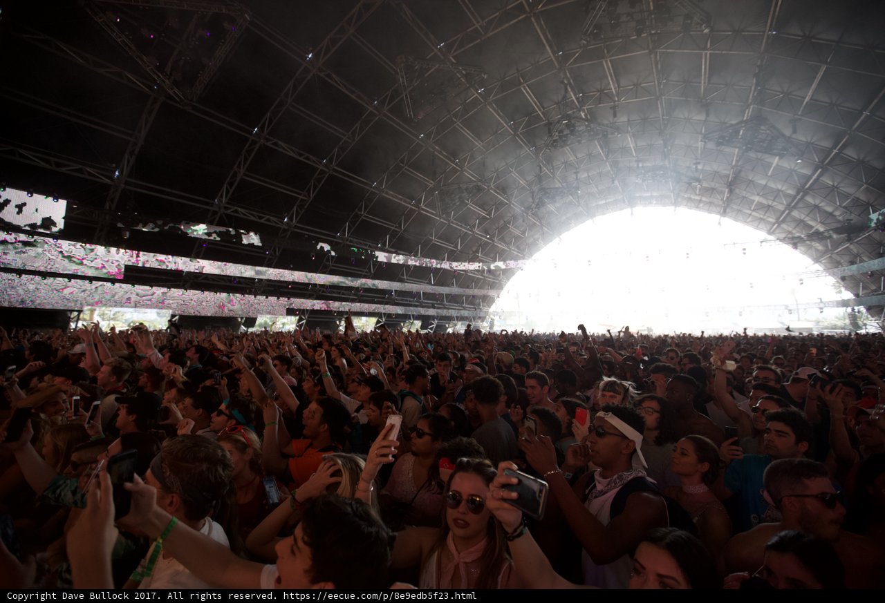 Euphoric Crowd at Coachella