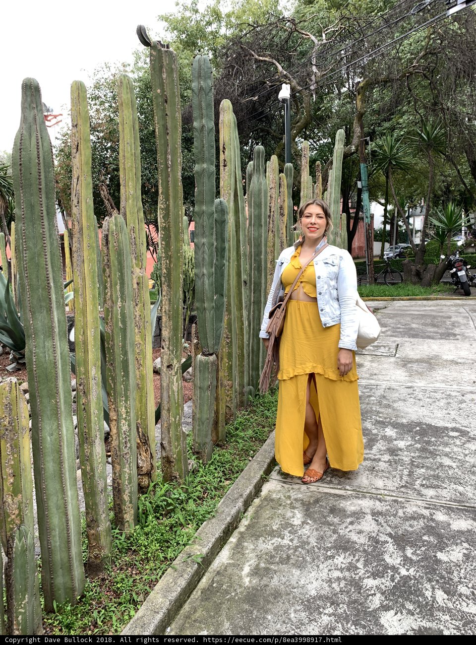 A Lady in Yellow among Cacti