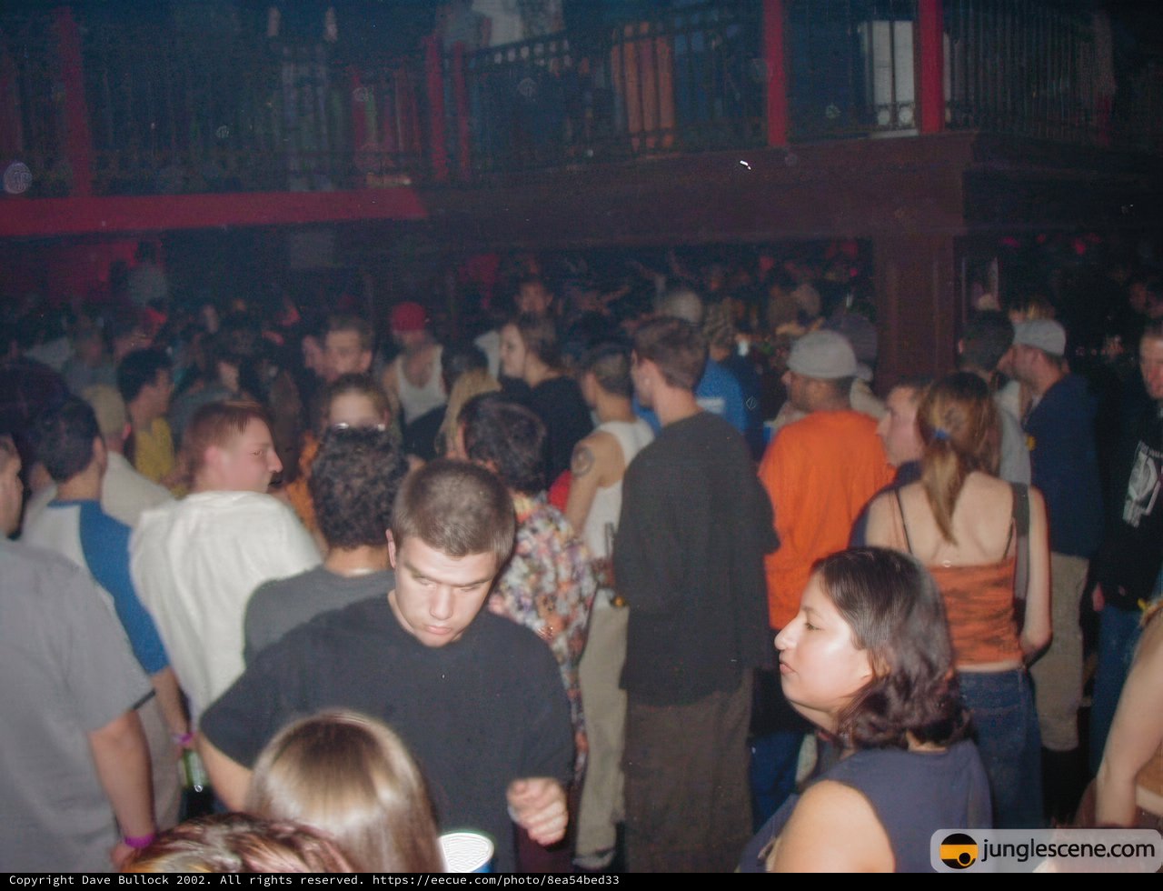 Nightclub Revelry