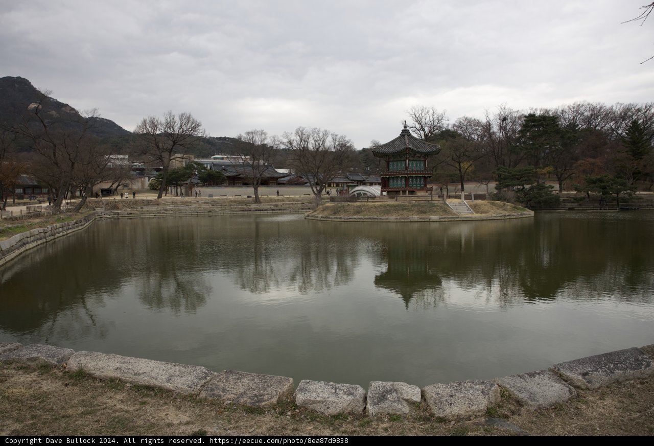 Serene Reflections: The Pagoda by the Pond