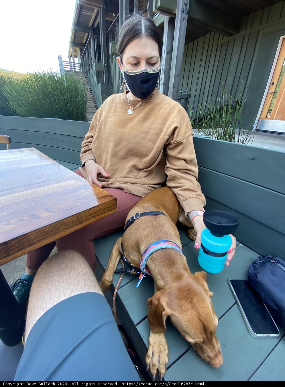 Serenity in the Time of Masks