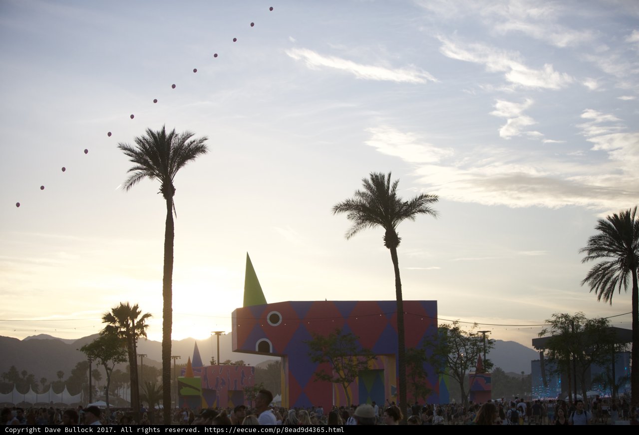 Vivid Colors and Palm Trees