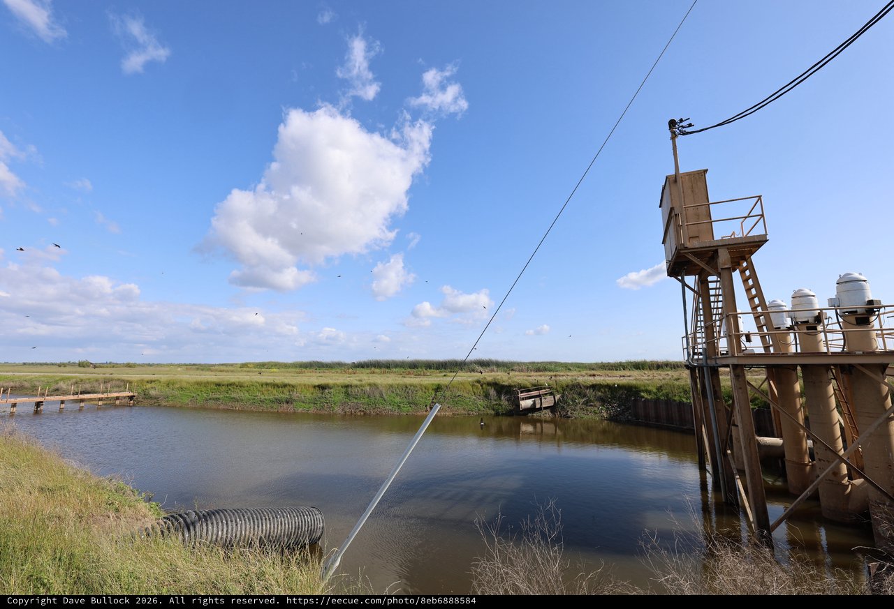 Rustic Water Pumping Station in Wetland Preserve
