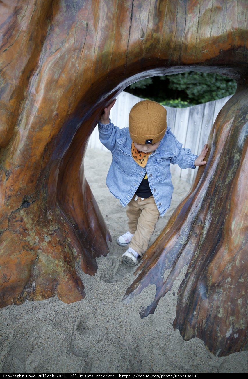 Adventure at the SF Zoo