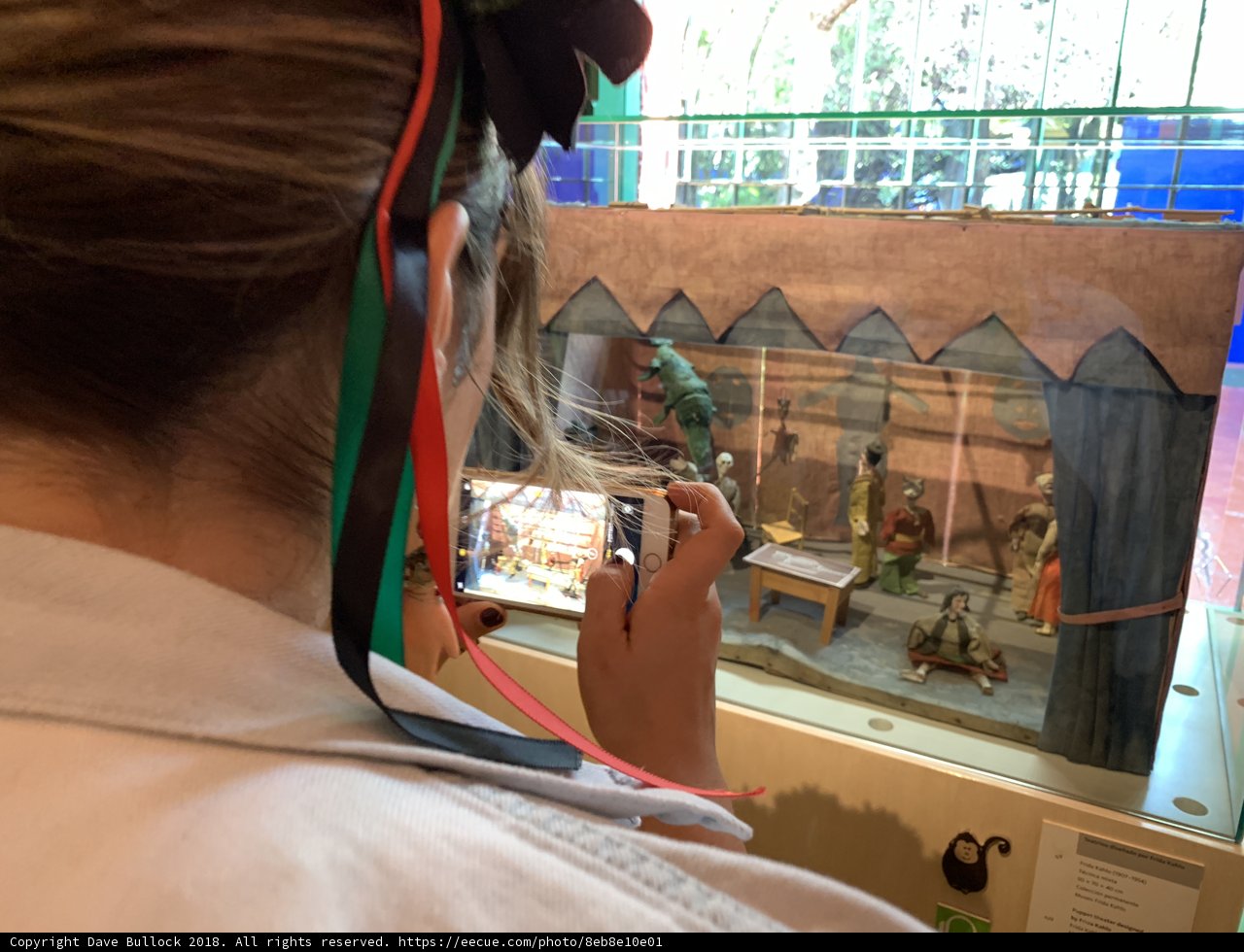 Capturing an Artistic Display