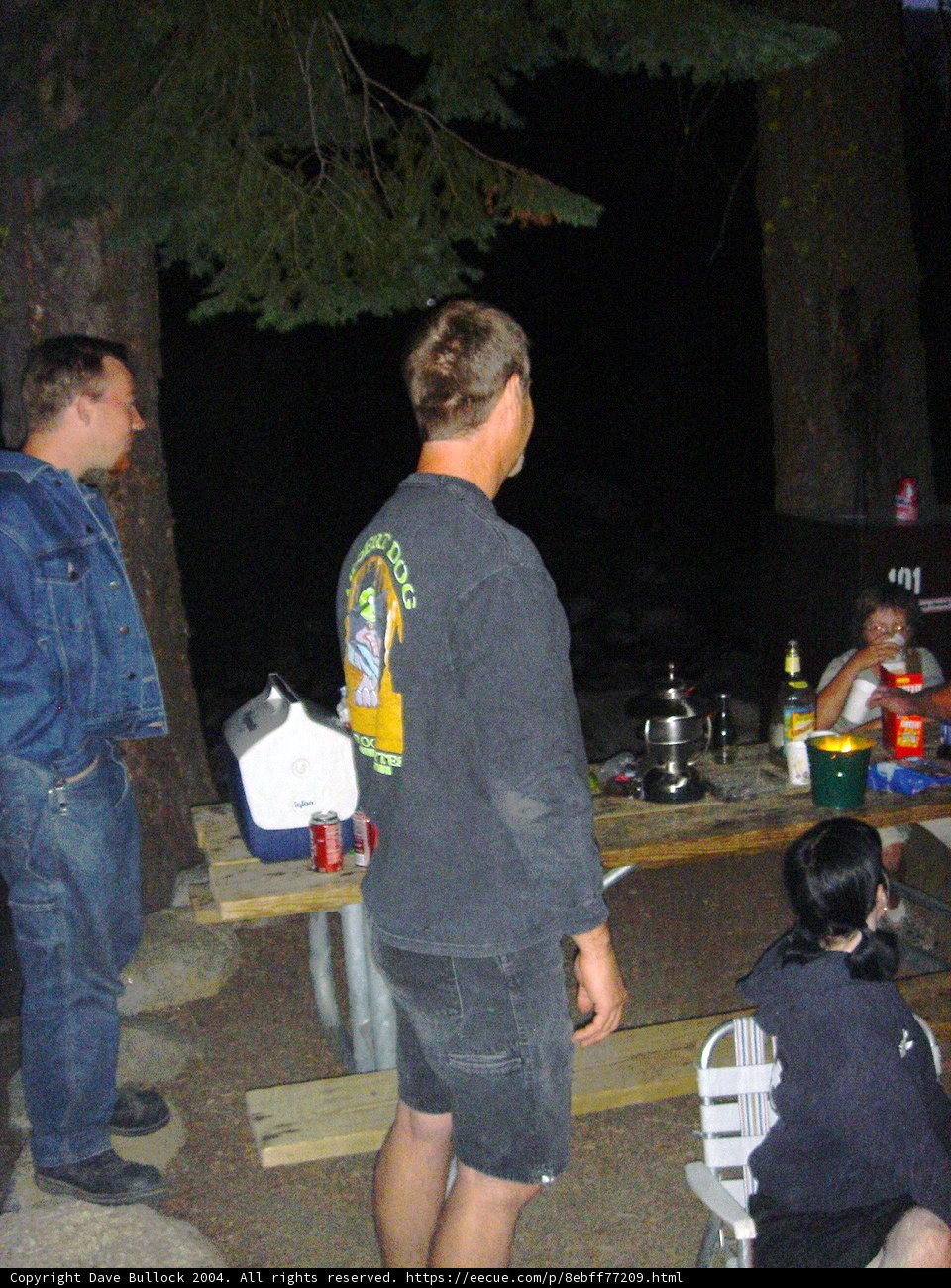 Nighttime Picnic with Friends