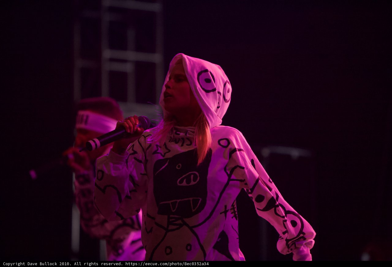 Yolandi Visser Rocks Coachella Stage in Hoodie