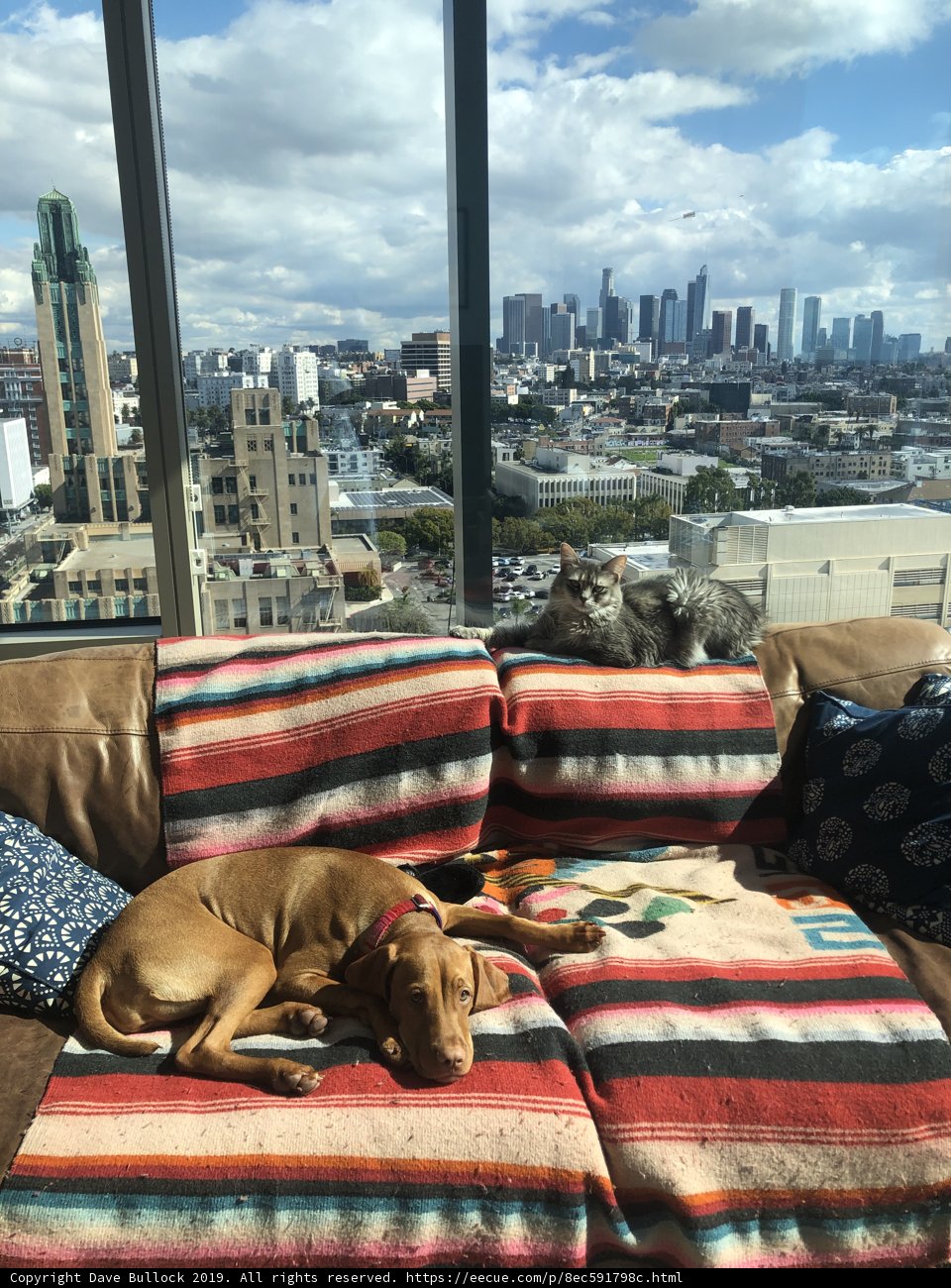 Urban Chic Living Room