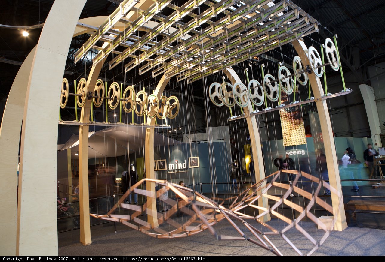 Rings of Plywood: A Wooden Wonder