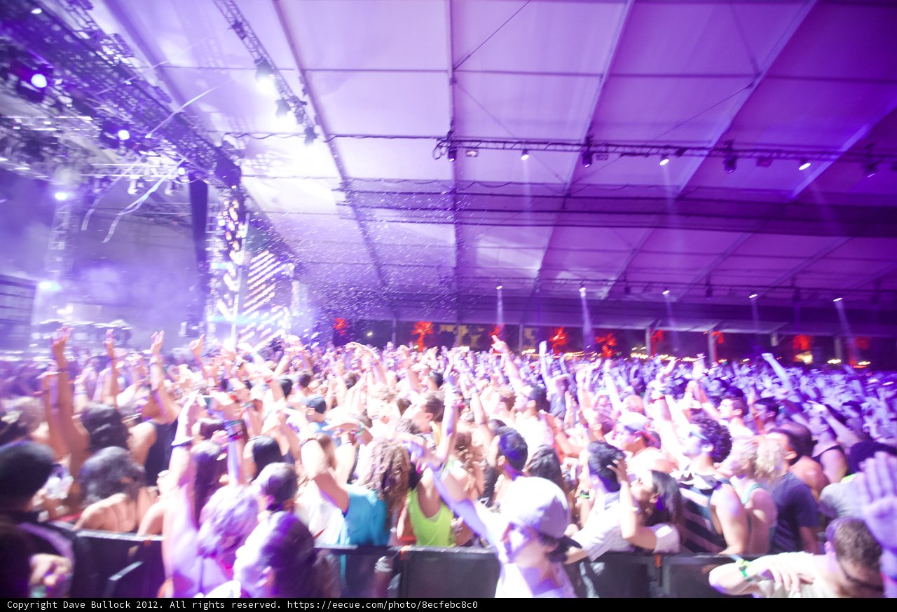 Electric Nights