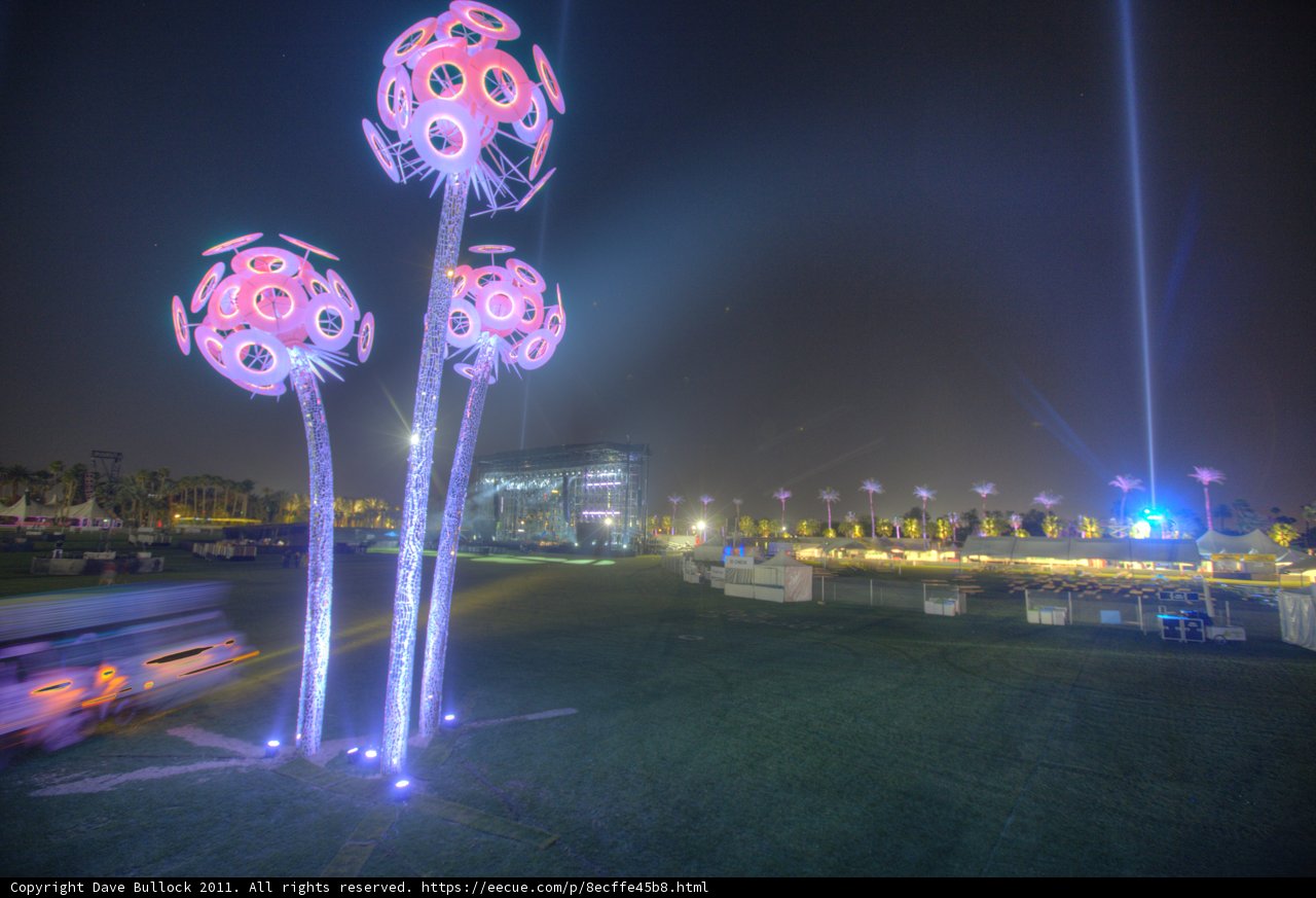 Glowing Garden