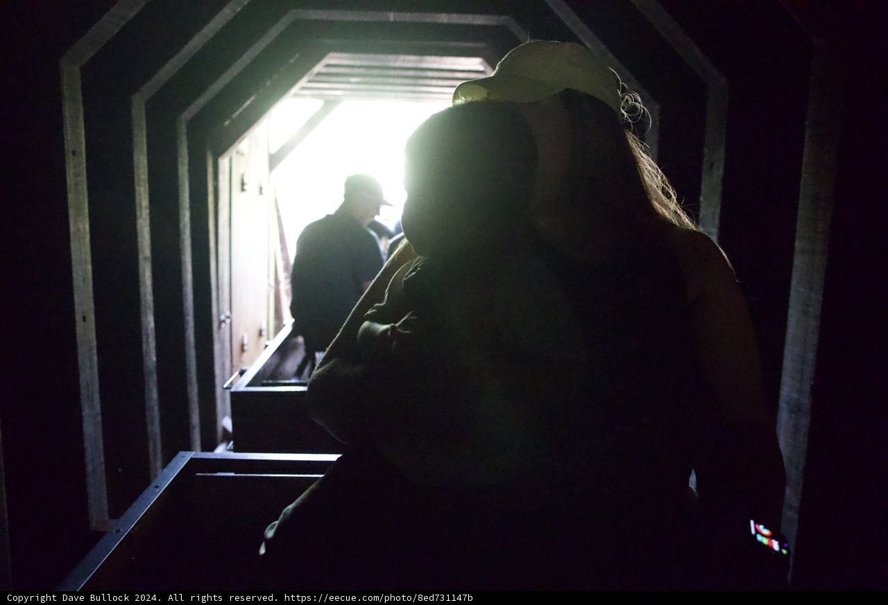 Silhouetted Passage: Tilden Tunnel Excursion