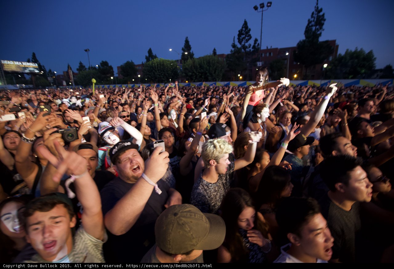 Festival Fans Screaming Shoulders
