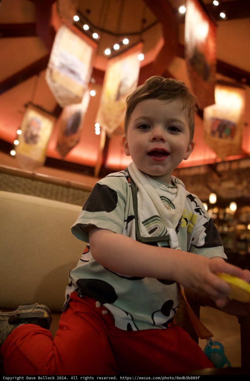 Dining Delights at Disney: Wesley's Adventure