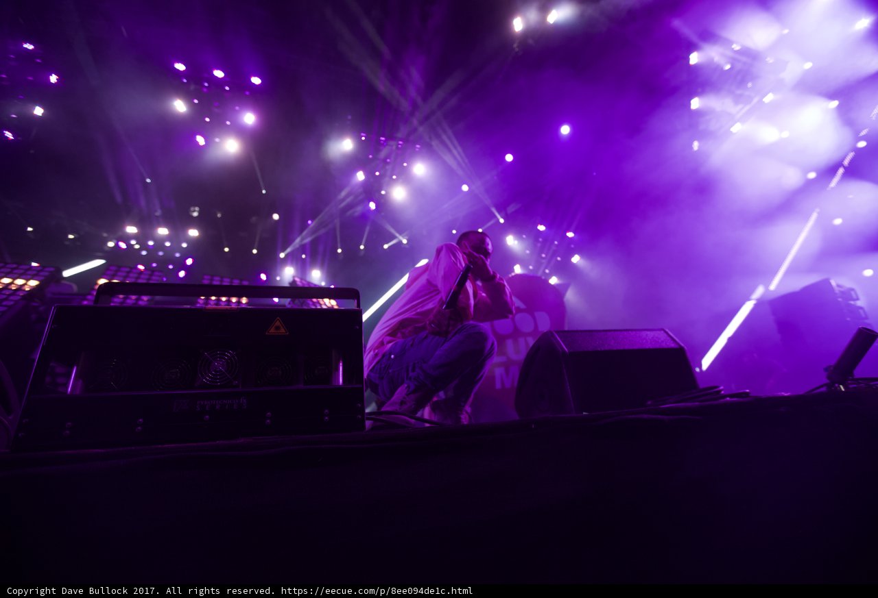 The Man in Purple Lights