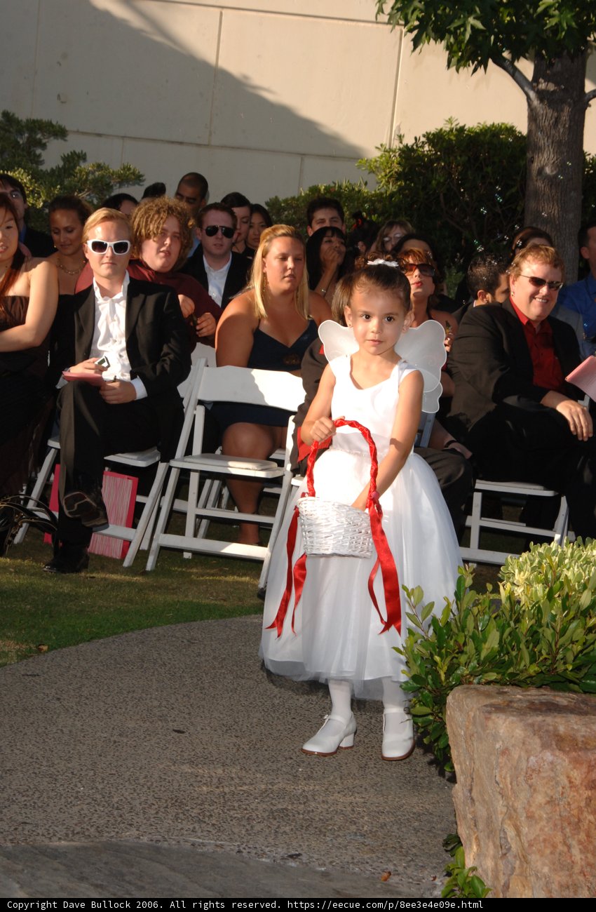 The Little Flower Girl