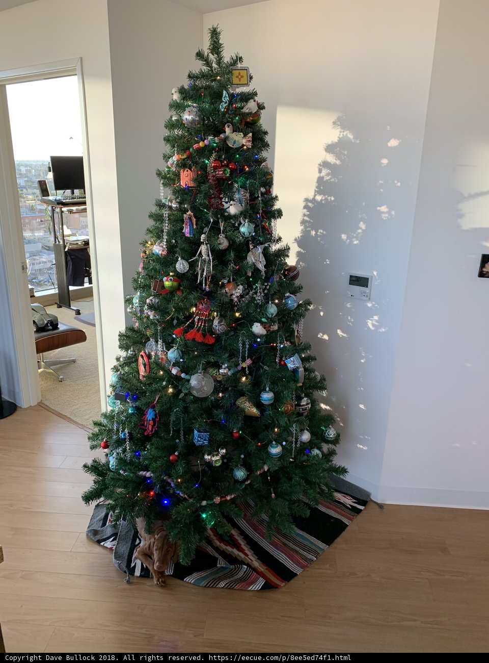 Festive Christmas Tree in a Wood Floored Room
