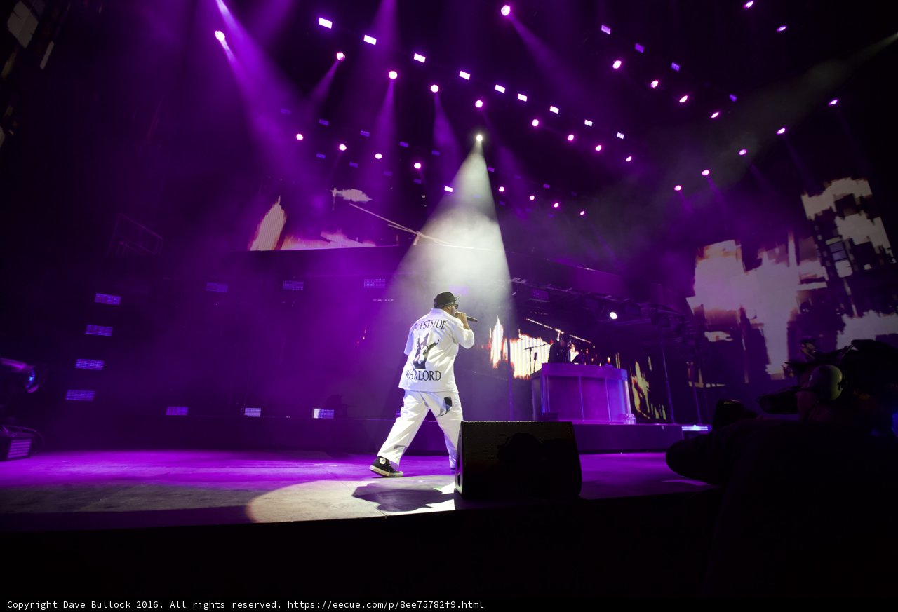 White Suit Spotlight
