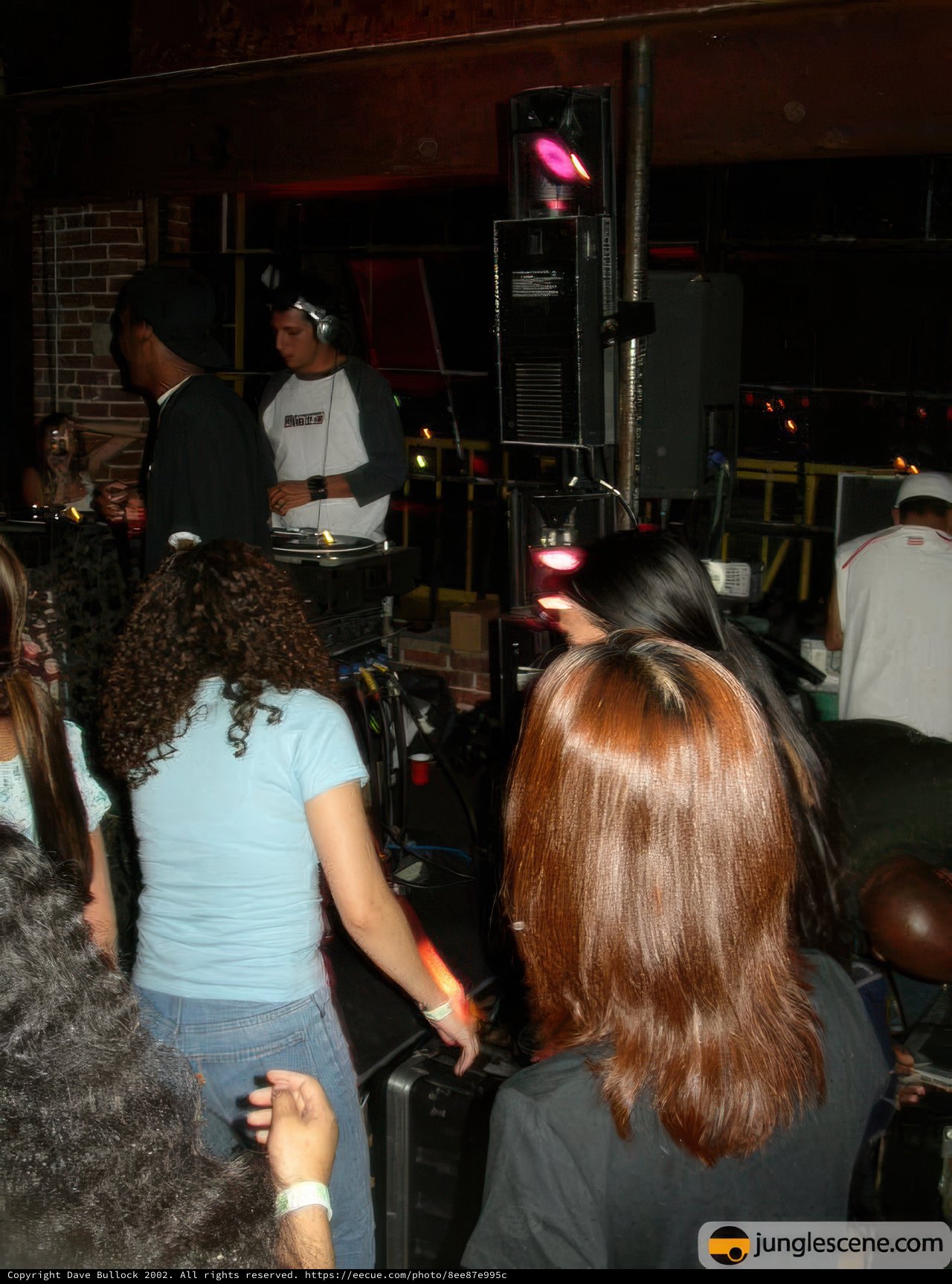 Night Club Vibes