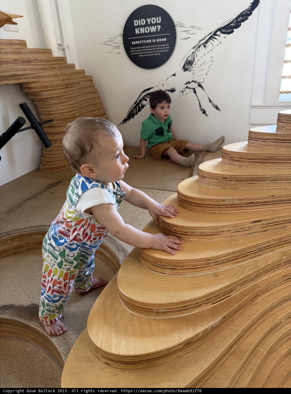 Steps to Discovery