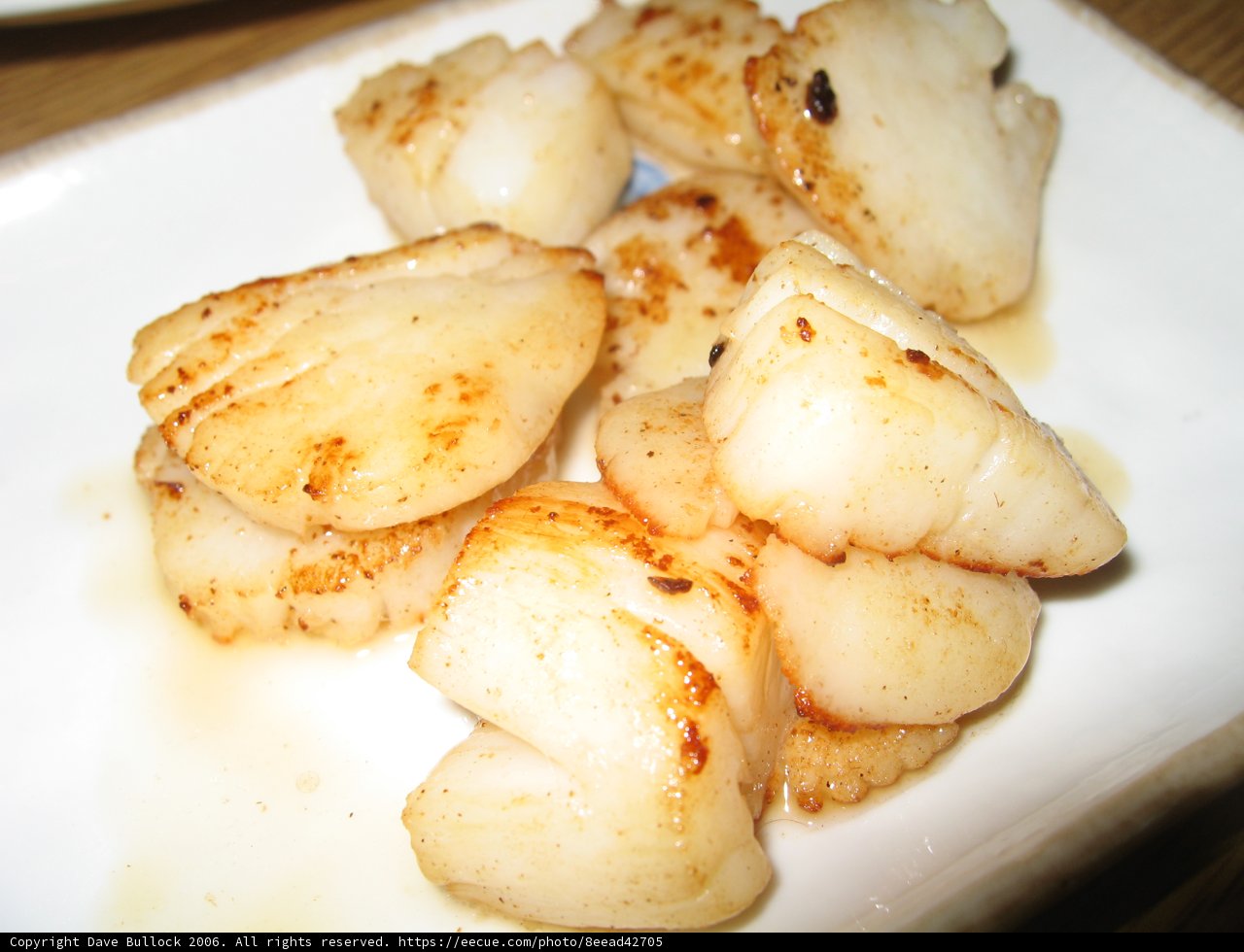 Scallops Galore
