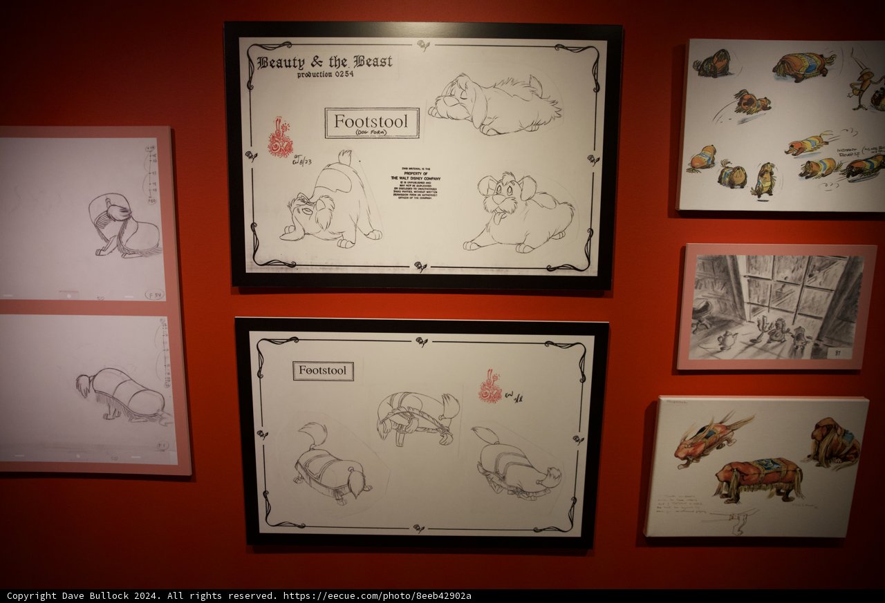 Artful Menagerie: A Fusion of Animal Imagery and Art