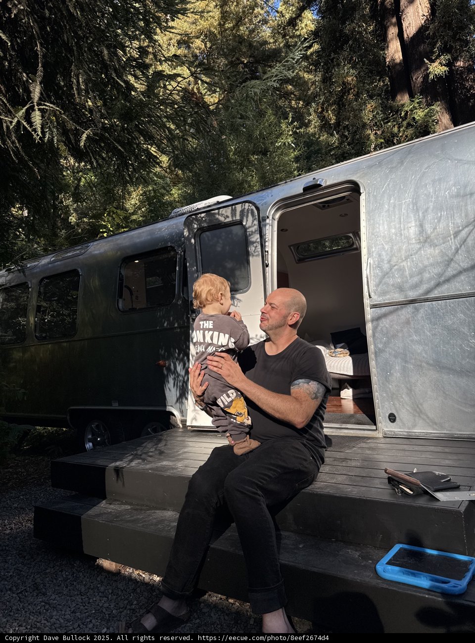 Morning Bond in the Redwoods