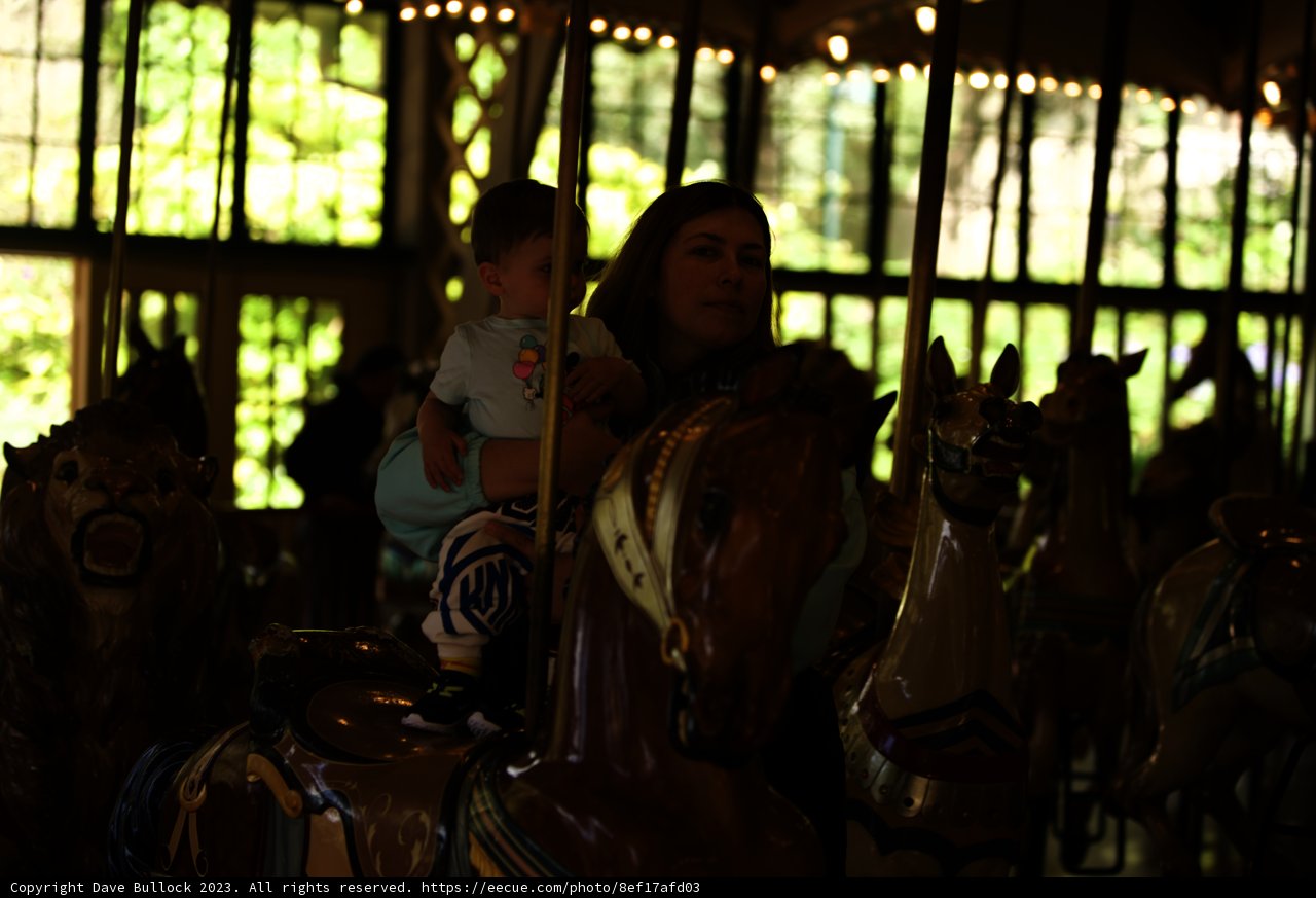 A Whimsical Ride at the SF Zoo