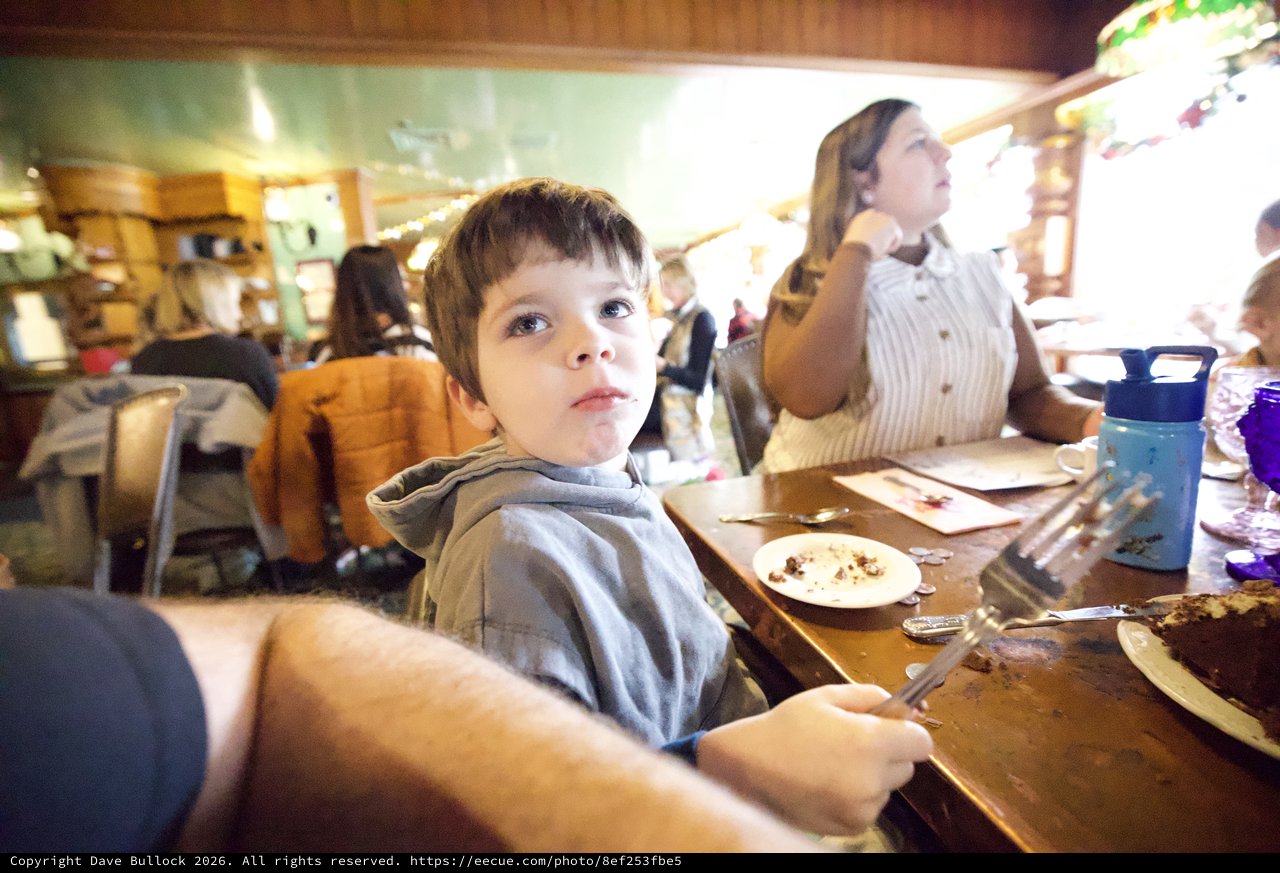 Young Boy at Family Restaurant Dining Table