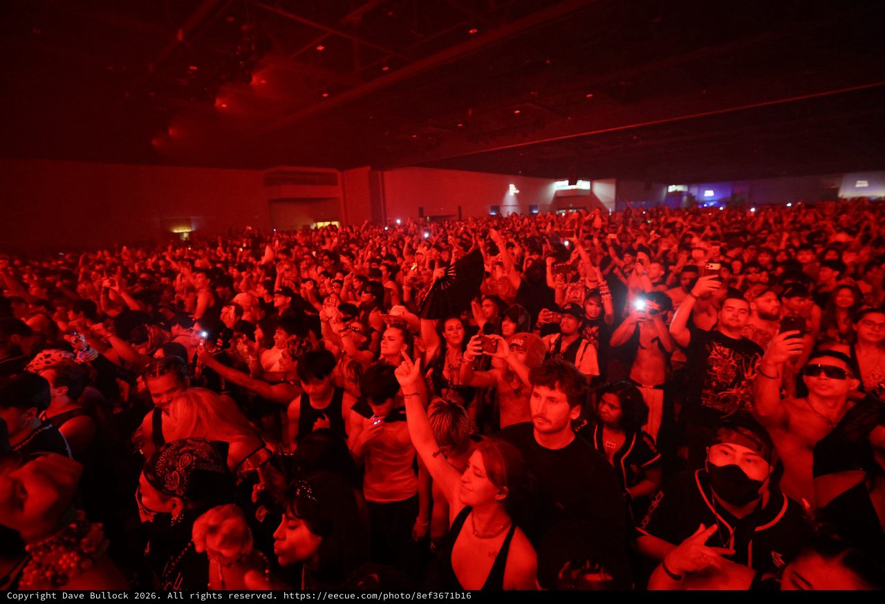 Massive Red-Lit Crowd at Wobbleland 2026 Festival