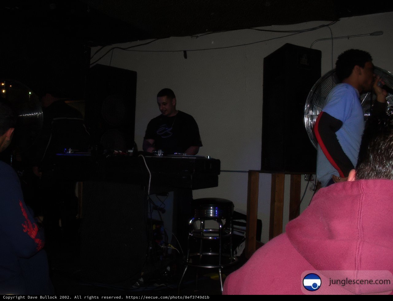A Night of Music and Dancing